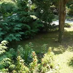 Szálloda Exotica Aranyhomok